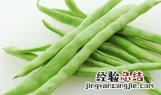 什么是四季豆 关于四季豆的介绍