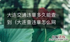 大连查违章怎么网上查 大连交通违章多久能查到