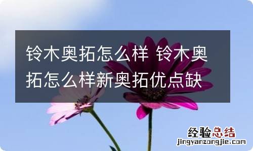 铃木奥拓怎么样 铃木奥拓怎么样新奥拓优点缺点