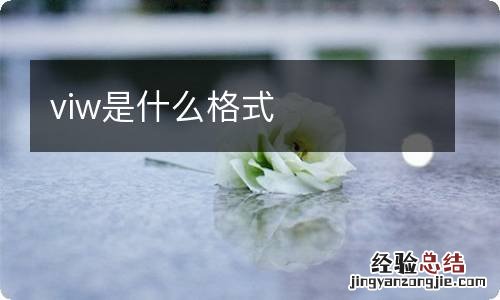 viw是什么格式