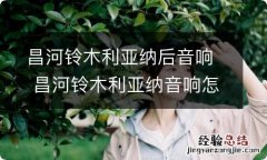 昌河铃木利亚纳后音响 昌河铃木利亚纳音响怎么调