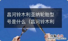 昌河铃木利亚纳图片 价格 昌河铃木利亚纳轮胎型号是什么