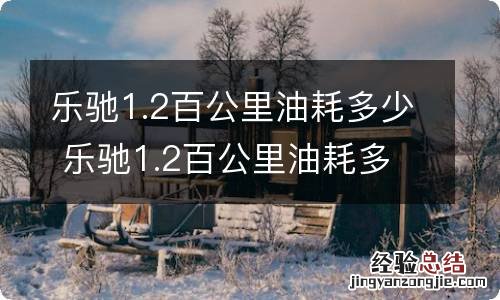 乐驰1.2百公里油耗多少 乐驰1.2百公里油耗多少?