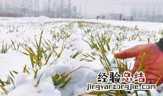 大冬小冬区别 为什么有大冬和小冬