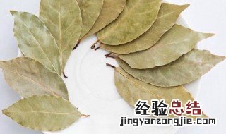 月桂叶和香叶的区别 香叶月桂叶肉桂叶有什么区别