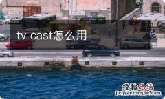 tv cast怎么用