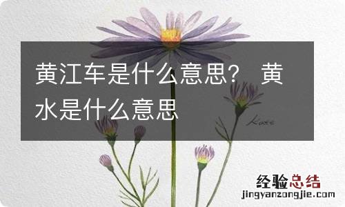 黄江车是什么意思？ 黄水是什么意思