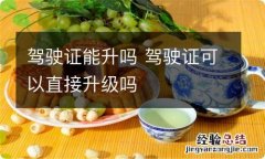 驾驶证能升吗 驾驶证可以直接升级吗