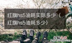 红旗hs5油耗多少 红旗hs5油耗实际多少