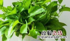 植物能吸收甲醛吗 植物是否可以吸收甲醛