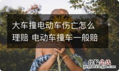 大车撞电动车伤亡怎么理赔 电动车撞车一般赔多少