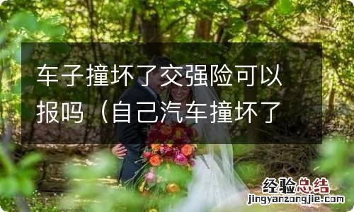 自己汽车撞坏了可以走交强险吗 车子撞坏了交强险可以报吗