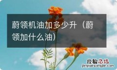 蔚领加什么油 蔚领机油加多少升