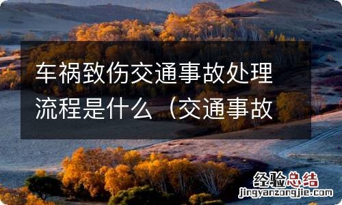 交通事故伤者处理流程 车祸致伤交通事故处理流程是什么