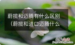 蔚揽和进口迈腾什么关系 蔚揽和迈腾有什么区别