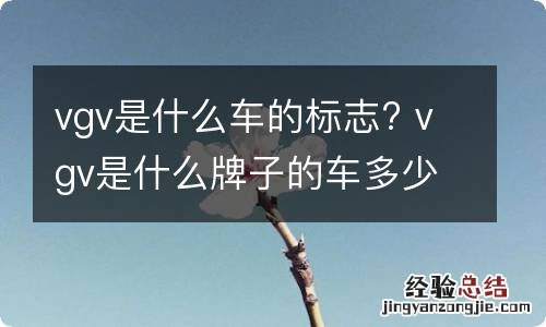 vgv是什么车的标志? vgv是什么牌子的车多少钱