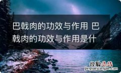 巴戟肉的功效与作用 巴戟肉的功效与作用是什么