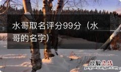 水哥的名字 水哥取名评分99分