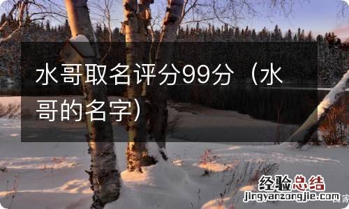 水哥的名字 水哥取名评分99分