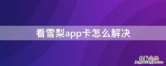 看雪梨app卡怎么解决