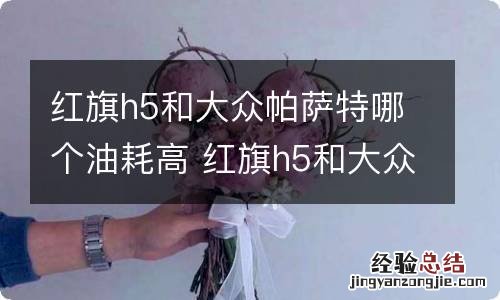 红旗h5和大众帕萨特哪个油耗高 红旗h5和大众帕萨特哪个油耗高