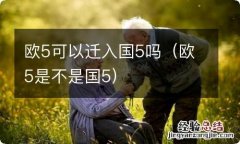 欧5是不是国5 欧5可以迁入国5吗