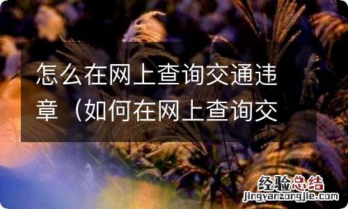 如何在网上查询交通违章 怎么在网上查询交通违章