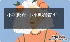 小椋邦彦 小平邦彦简介