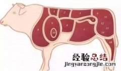 炖牛肉用哪个部位的牛肉最好 炖牛肉用哪个部位