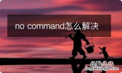 no command怎么解决