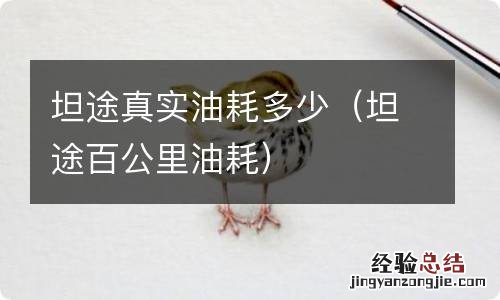 坦途百公里油耗 坦途真实油耗多少