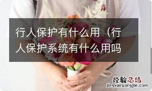 行人保护系统有什么用吗 行人保护有什么用