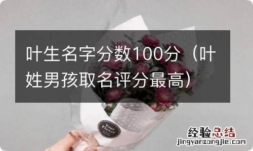 叶姓男孩取名评分最高 叶生名字分数100分