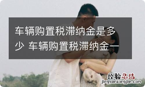 车辆购置税滞纳金是多少 车辆购置税滞纳金一般多少钱