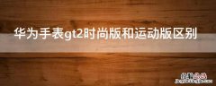 华为手表gt2时尚版和运动版区别