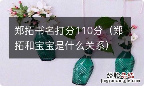 郑拓和宝宝是什么关系 郑拓书名打分110分