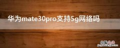 华为mate30pro支持5g网络吗 华为mate 30 pro支持5g网络吗