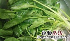 菠菜怎么洗才干净 怎样清洗菠菜