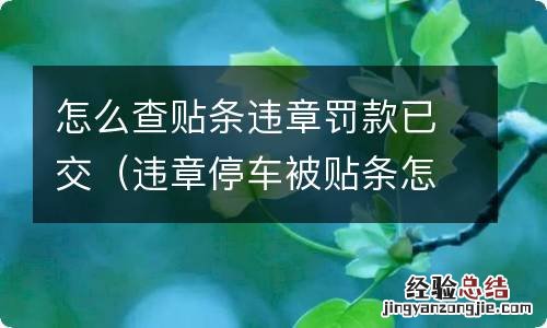 违章停车被贴条怎么查 怎么查贴条违章罚款已交