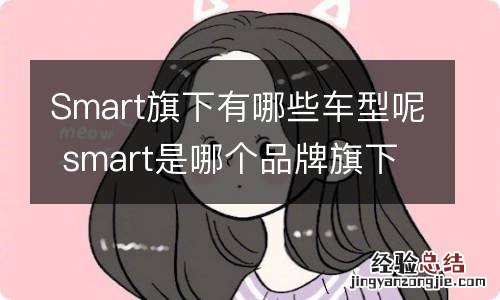 Smart旗下有哪些车型呢 smart是哪个品牌旗下的车