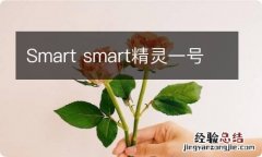 Smart smart精灵一号