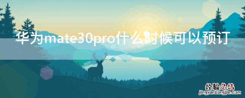 华为mate30pro什么时候可以预订