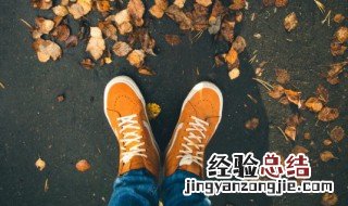 翻皮鞋子水渍怎么办 翻毛皮鞋有水渍怎么处理