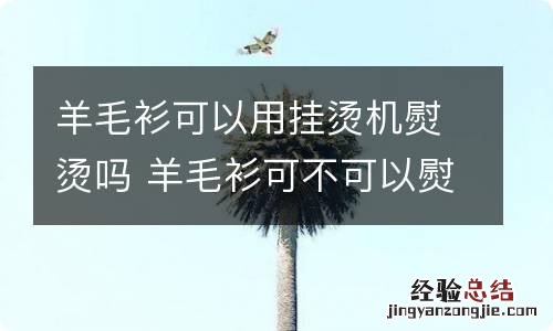 羊毛衫可以用挂烫机熨烫吗 羊毛衫可不可以熨烫