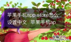 苹果手机app store怎么设置中文苹果手机app store中文怎么设置