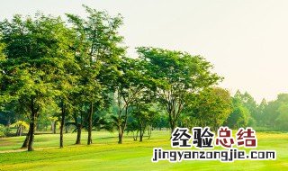 24节气歌顺口溜完整版 24节气歌顺口溜
