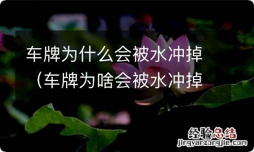 车牌为啥会被水冲掉 车牌为什么会被水冲掉