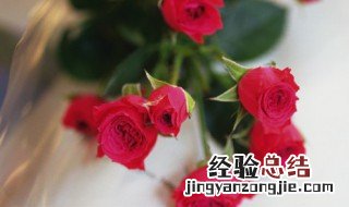 妇女节给女朋友送花合适吗 妇女节送玫瑰花合适吗