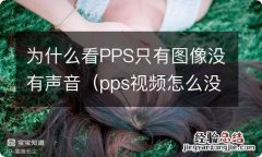 pps视频怎么没有了 为什么看PPS只有图像没有声音