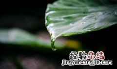 梅雨季节怎么除湿 南方梅雨季节怎么除湿